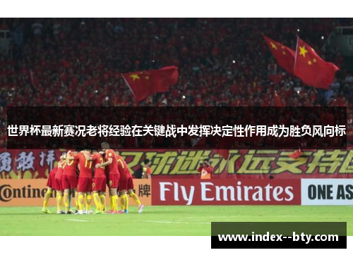 世界杯最新赛况老将经验在关键战中发挥决定性作用成为胜负风向标