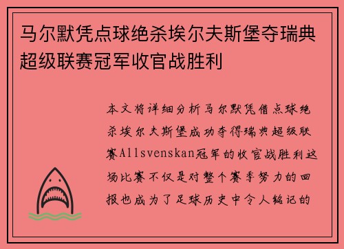 马尔默凭点球绝杀埃尔夫斯堡夺瑞典超级联赛冠军收官战胜利